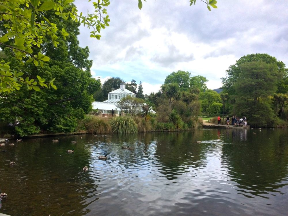 ニュージーランドダニーデンガーデンの池