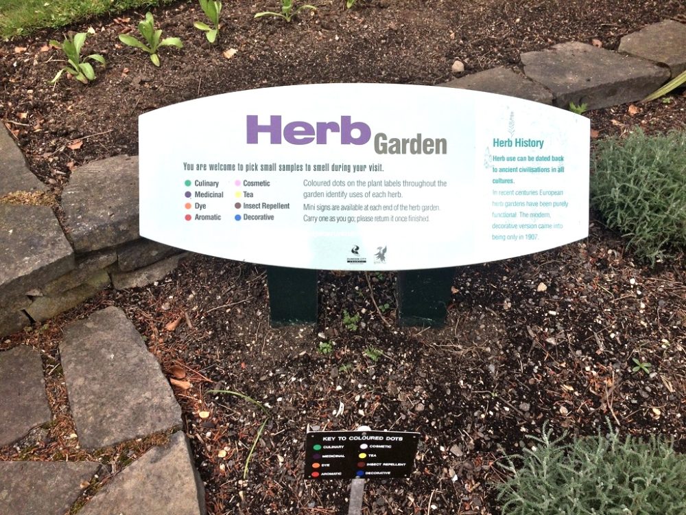 ダニーデン植物園のハーブガーデン