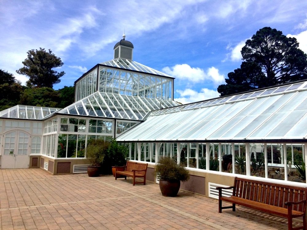 ダニーデン植物園のウィンターガーデン温室