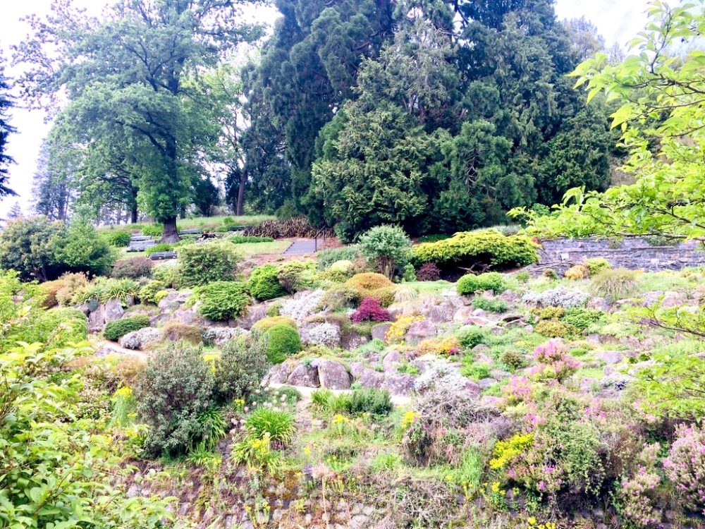 ニュージーランドダニーデン植物園のロックガーデンの様子