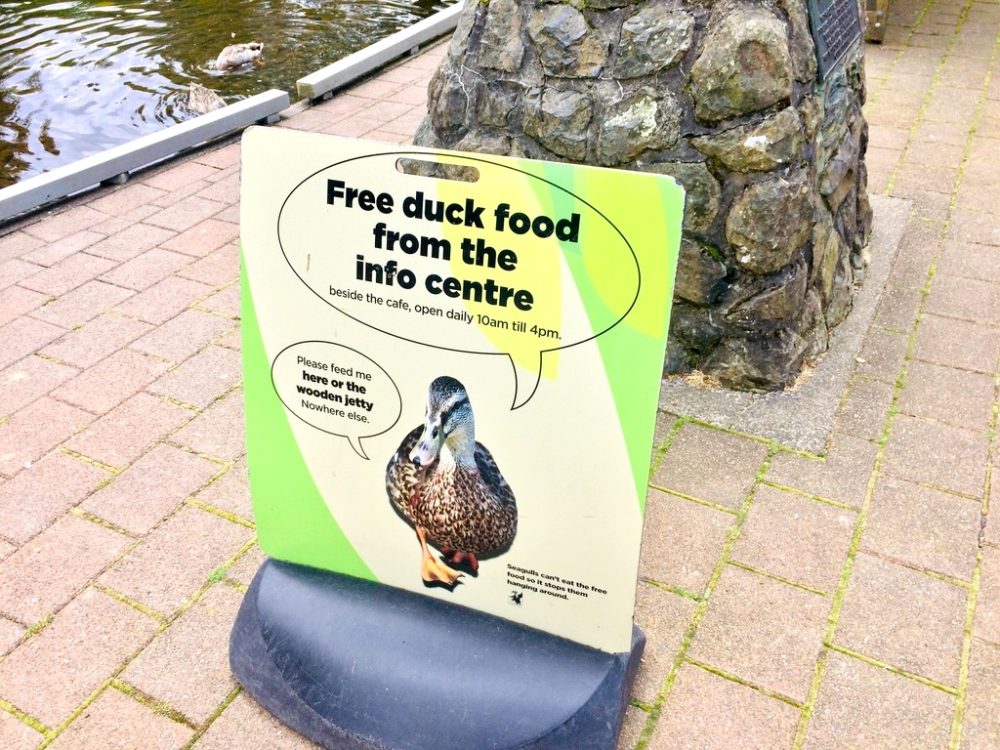 ニュージーランドダニーデン植物園の池の看板